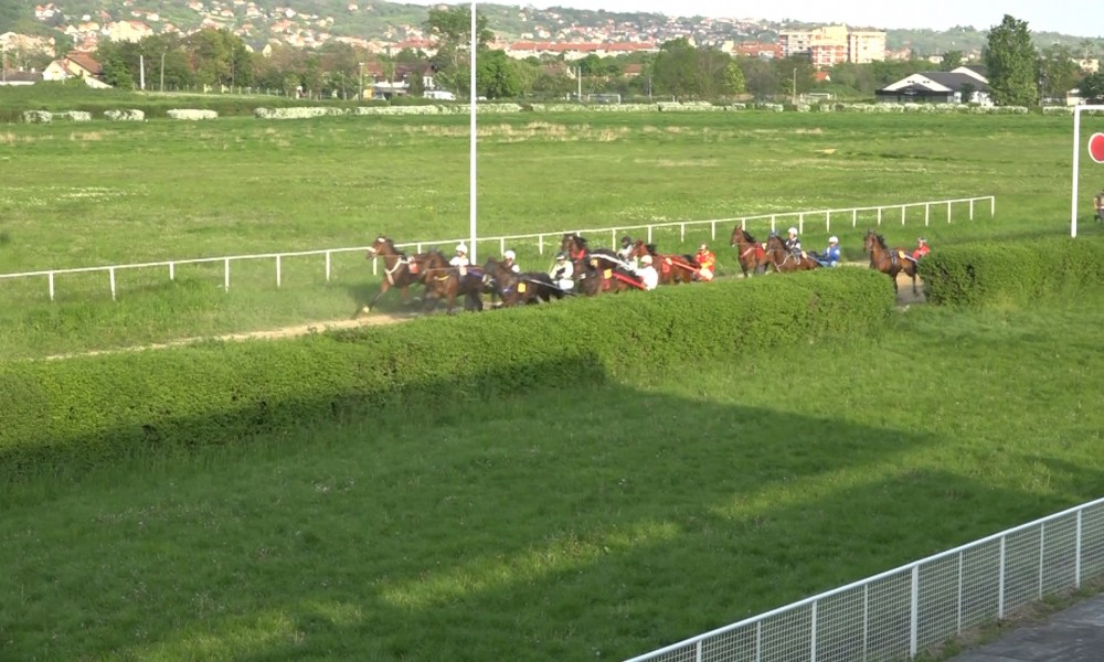 "Majski sastanak" otvorio sezonu konjičkih takmičenja na Hipodromu