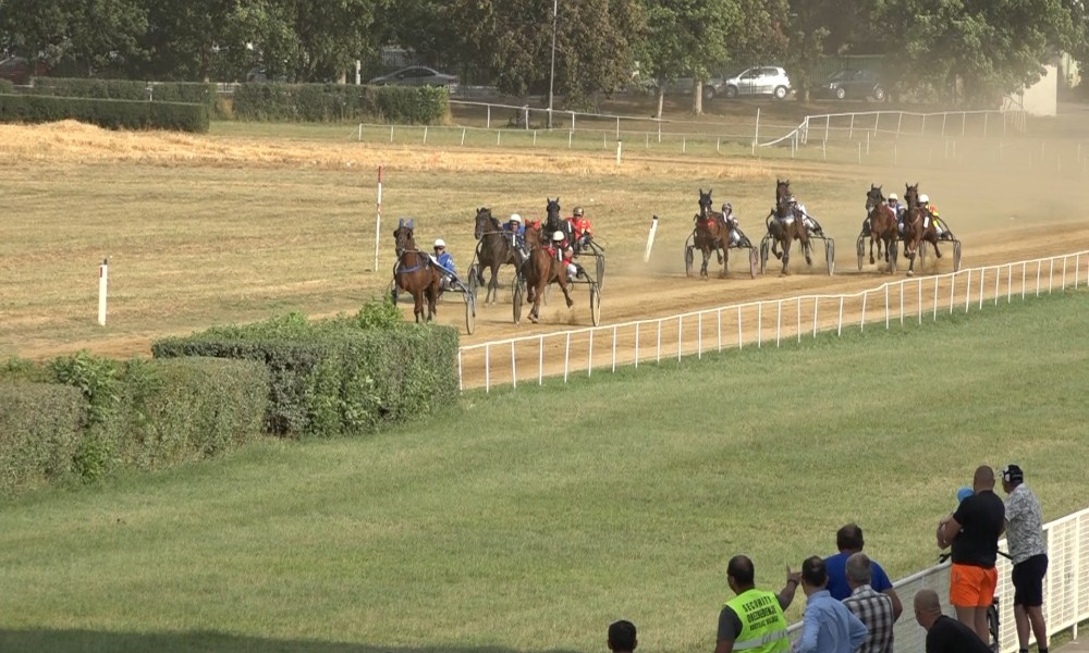 Konjički praznik u Požarevcu: Najbolja grla na Ivanjdanskom sastanku