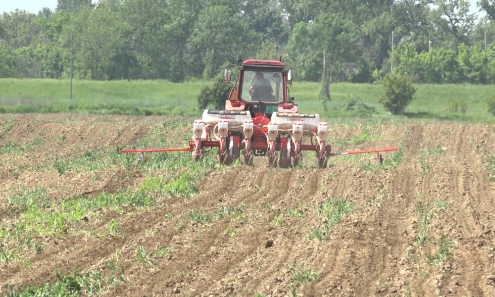 Raspisan konkurs za uređenje i korišćenje poljoprivrednog zemljišta