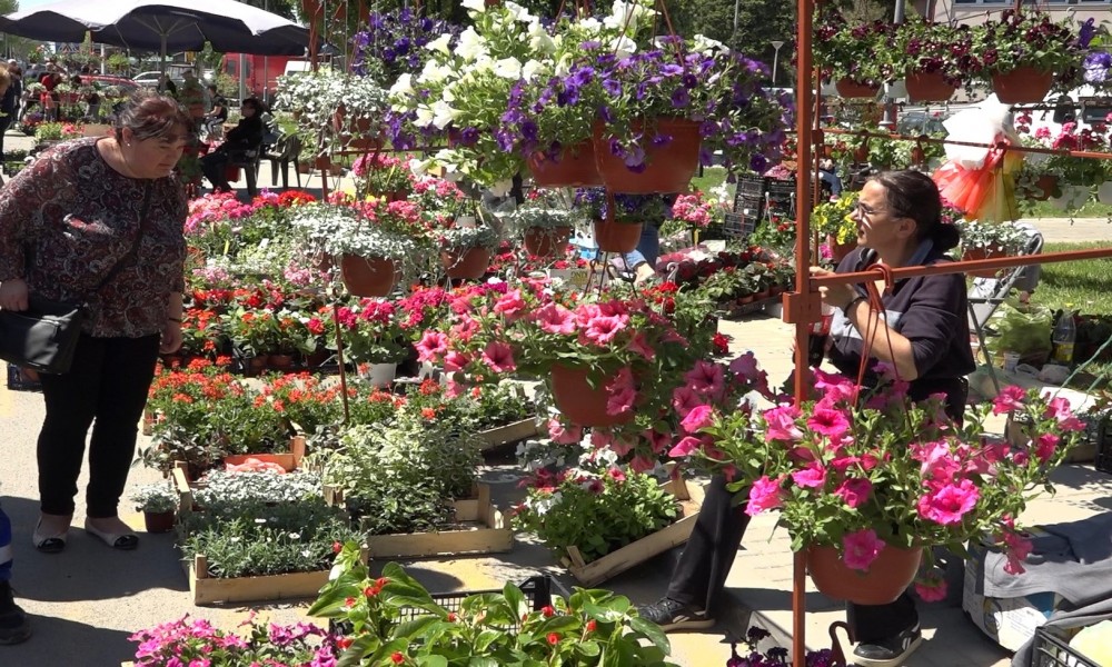 Dani cveća i meda otvorili letnju sezonu