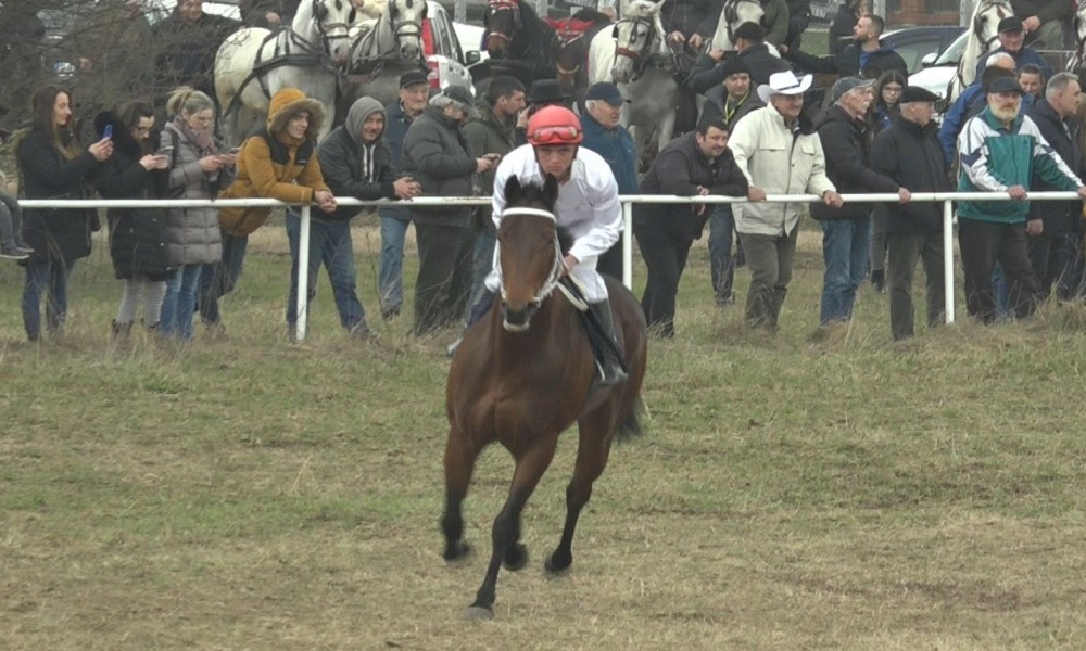 Izložba sitnih životinja i nova sezona konjičkih trka u Kasidolu