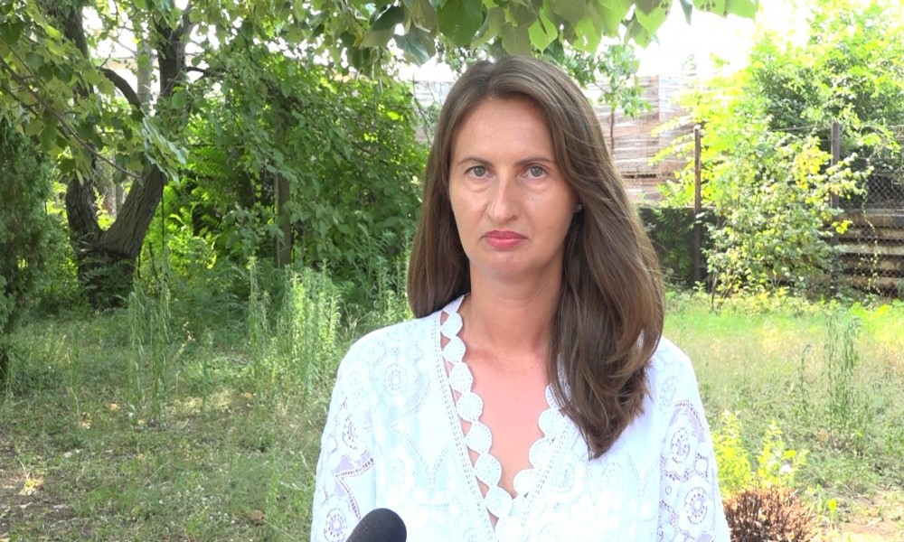 Deficit padavina ubrzava zrenje suncokreta