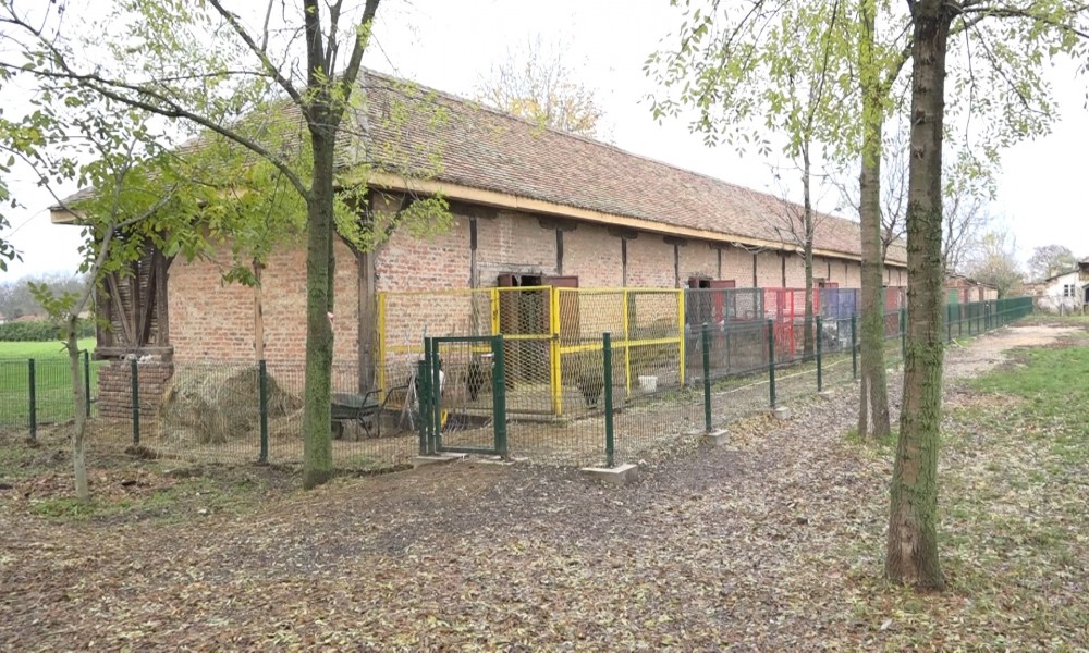 Ljubičevski mini zoo-vrt dobio novi krov