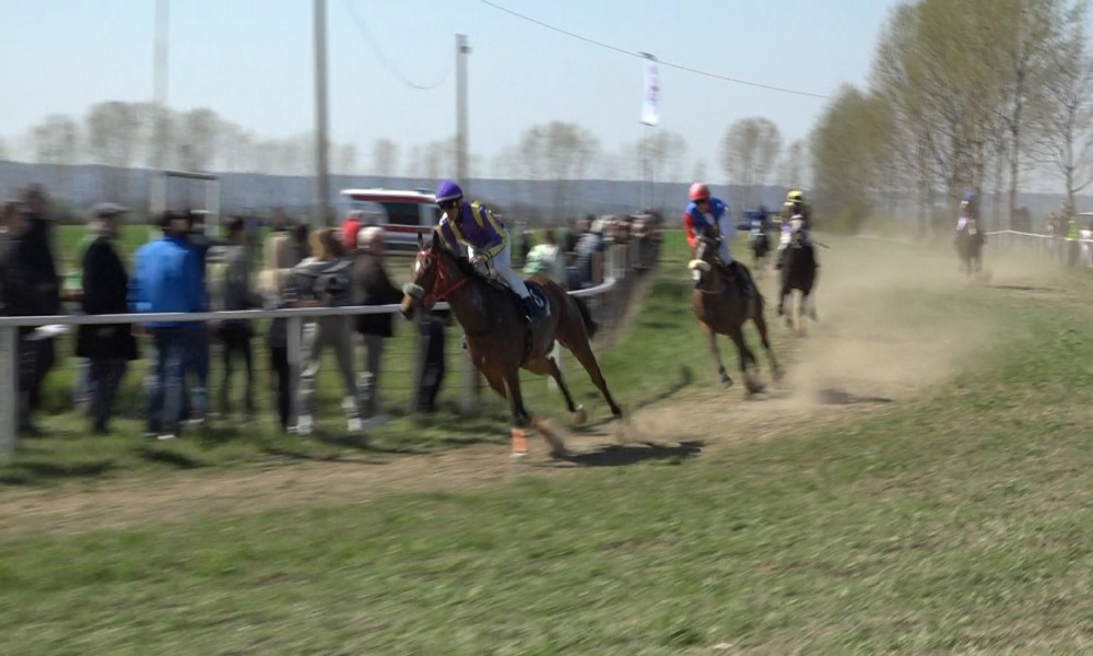 Počela sezona konjičkih trka u KD "Knez Mihailo"