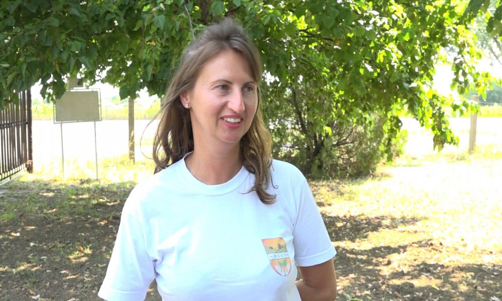 Zašto je važno ljuštenje strništa - Ključan korak posle žetve