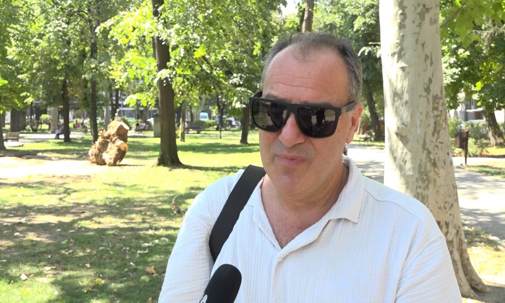 Voda, suncokret i prirodni rojevi - borba za opstanak pčela