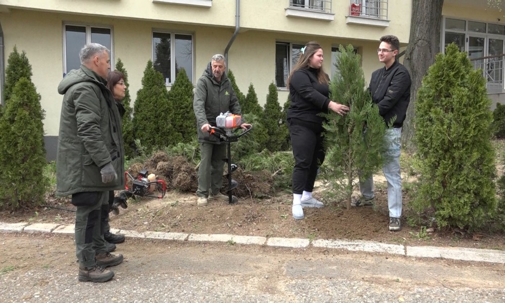 Zajedničkim snagama do zelenijeg prostora: Posađene tuje u domu učenika u Požarevcu