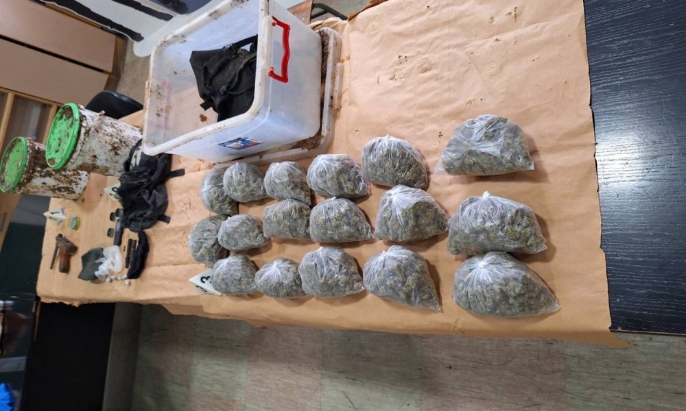 U okolini Petrovca na Mlavi pronađeni marihuana. pištolji  i  municija