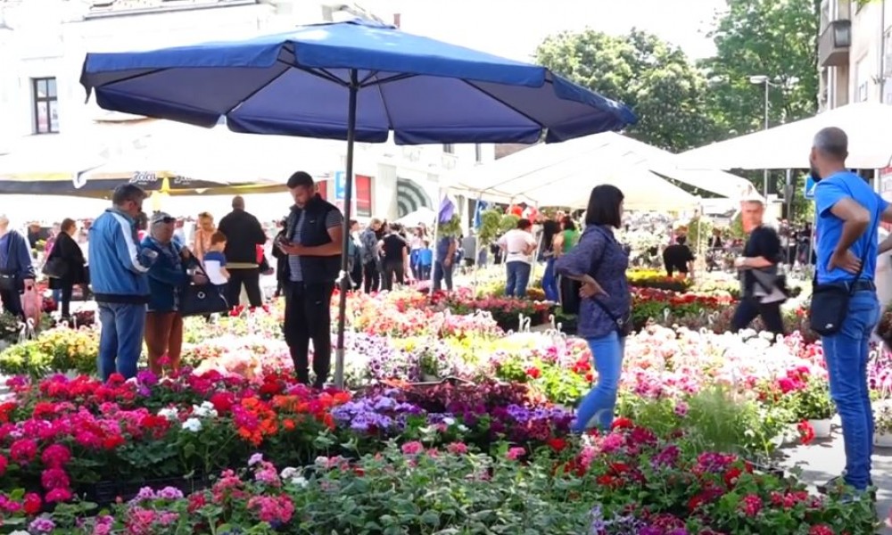 Festival cveća zatvara centar grada