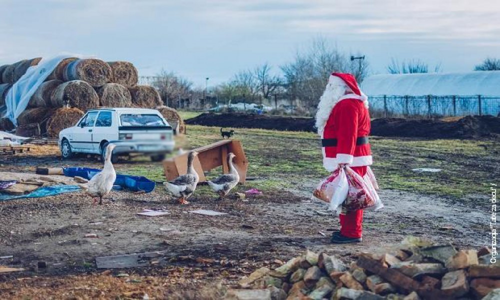Deda Mraz se ne plaši nemaštine - kako da paketići stignu do sve dece