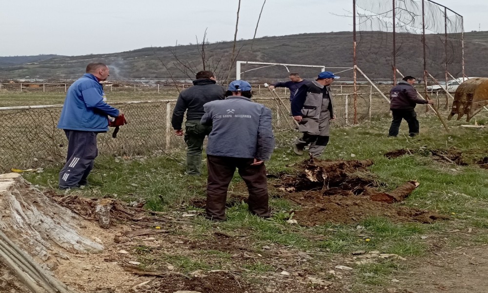 U Dobri organizovano raščišćavanje granja i sađenje topola oko fudbalskog terena