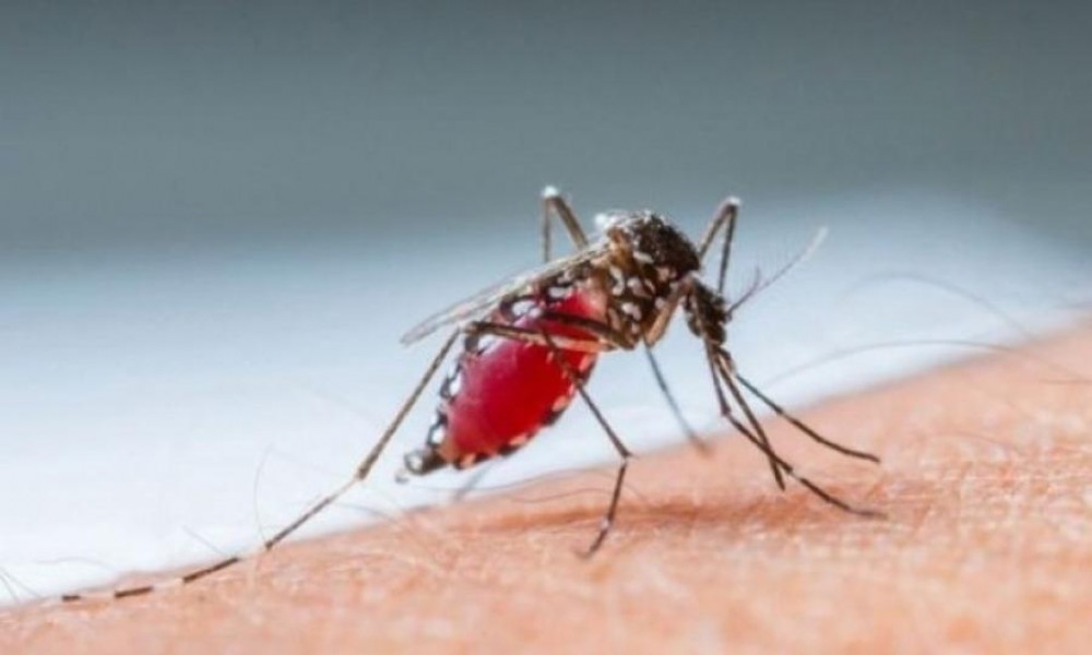 Tretman protiv komaraca ponovo odložen