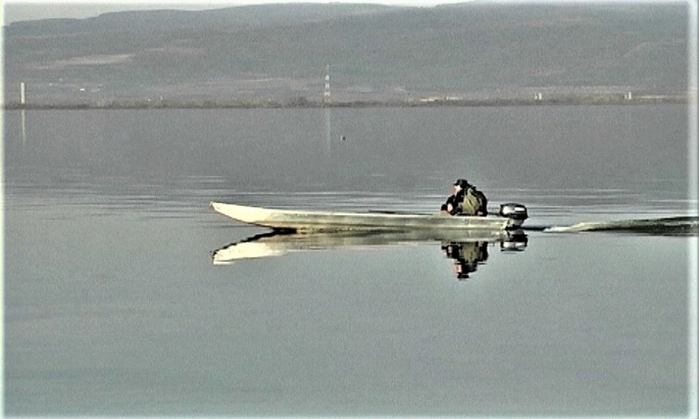 Na Dunavu kod Golupca alasa i ribe sve manje