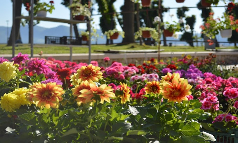 Održan 9. Majski festival cveća u Golupcu