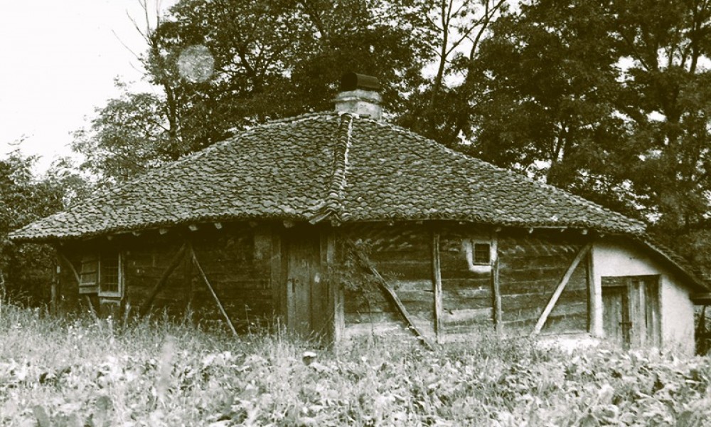 Stara kuća Dimitrija Paunovića u Viteževu