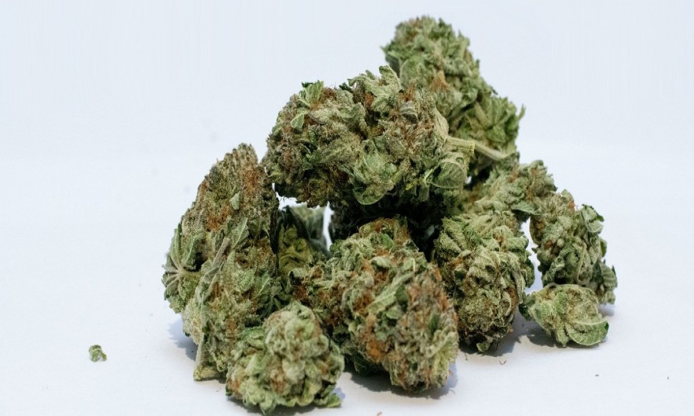 Pao zbog 328 grama marihuane