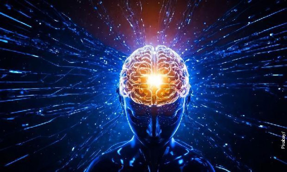 Naučnici misle da su otkrili neurološki uzrok anoreksije