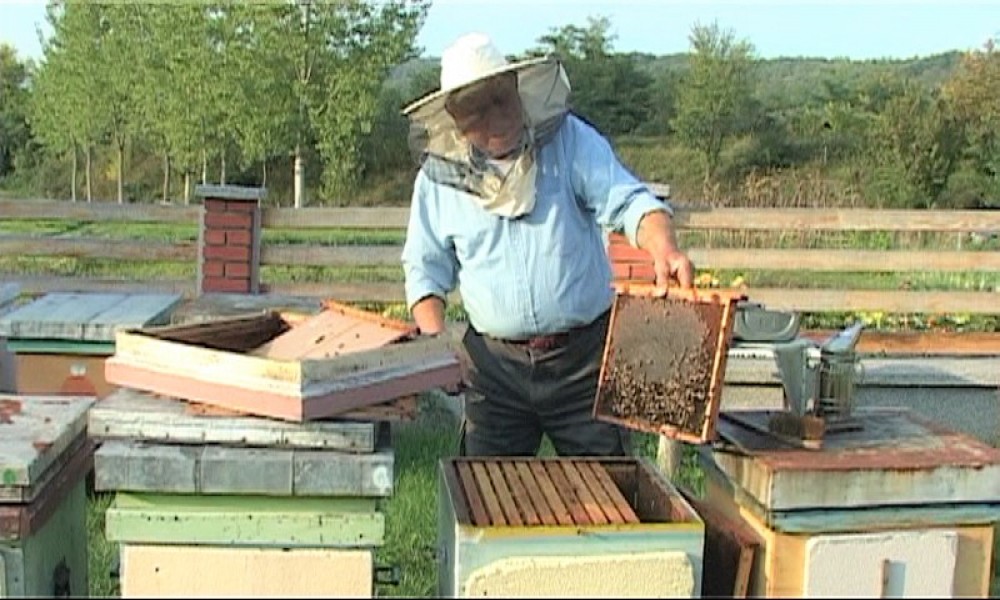 Porodica Tihomira Paskarevića iz Neresnice pčelarstvom se bavi više od pola veka