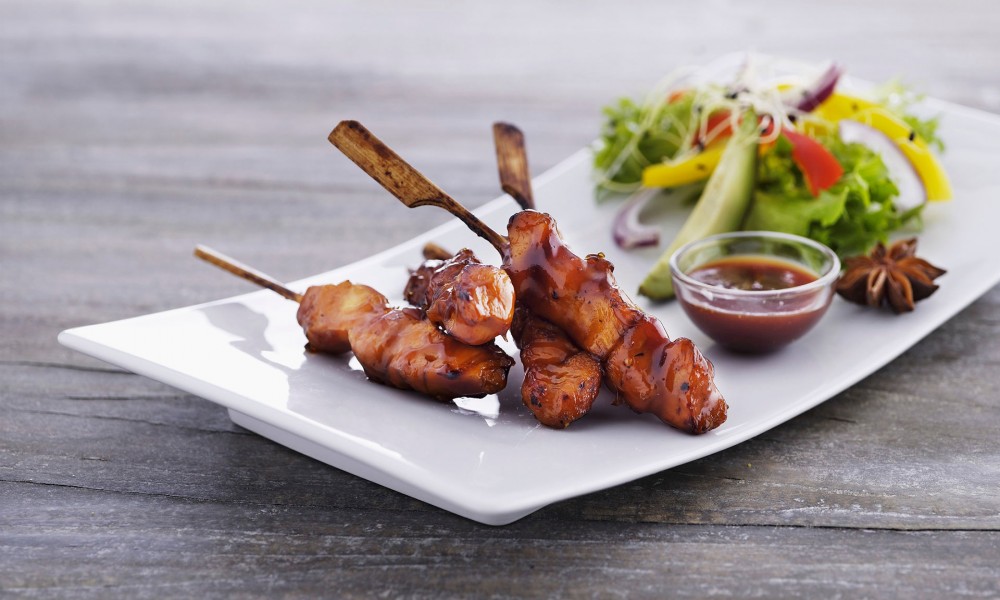 PIKANTNI PILEĆI RAŽNJIĆI  SA SOSOM OD BRUSNICA PO RECEPTU PROFESORA NIKOLE  RADIŠIĆA