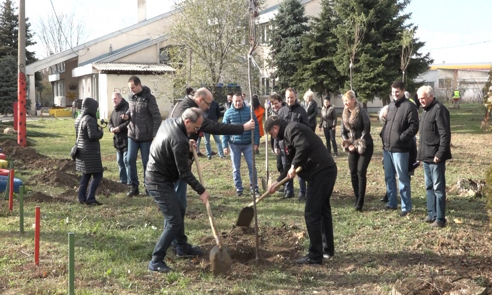 NOVE SADNICE U VRTIĆU BUBAMARA: AKCIJA ČLANOVA SNS STRANKE POŽAREVAC