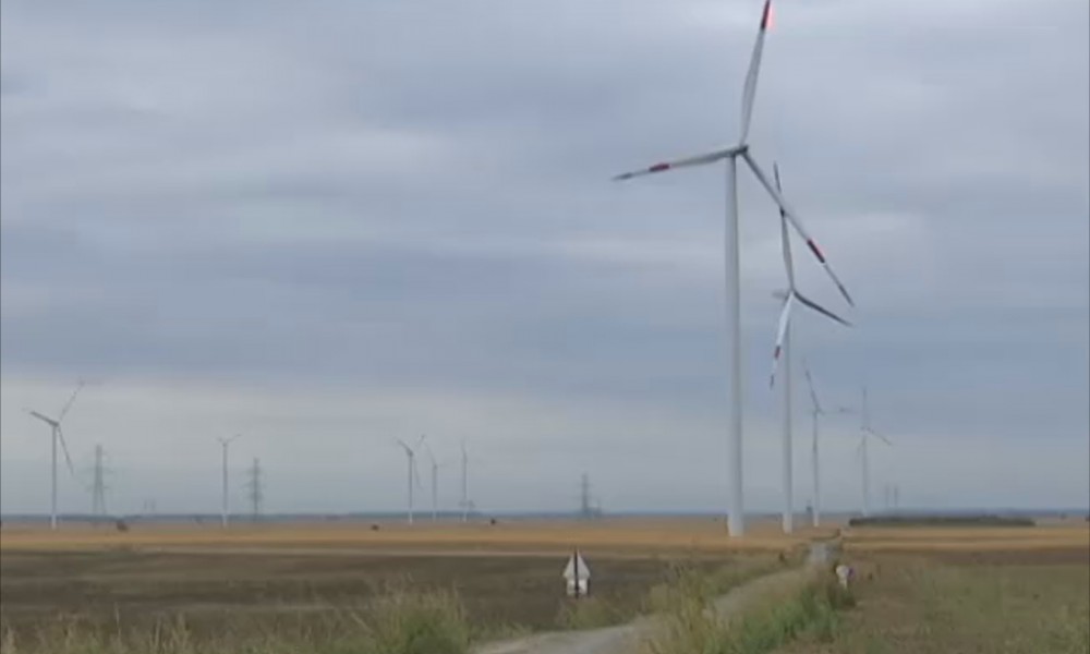 Pušten u rad do sada najveći vetropark u Srbiji