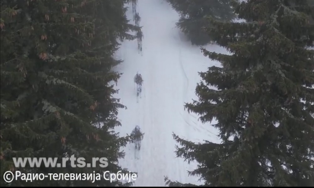 Gusta šuma, planina, dubok sneg - kako izgleda obuka vojnih specijalaca na Kopaoniku