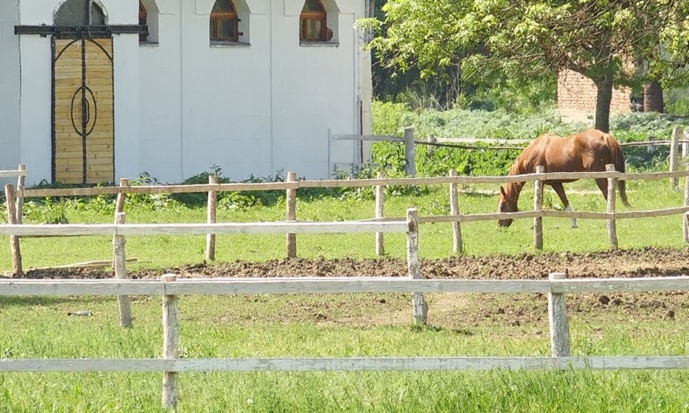 SREĐENO LJUBIČEVO, MESTO ZA ODMOR