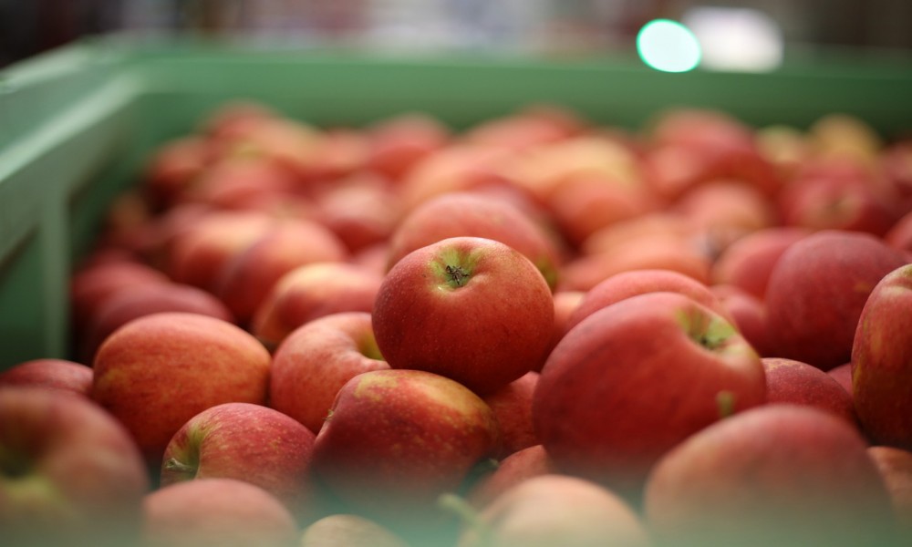 Kupci zbog krize traže jeftinije sorte jabuka