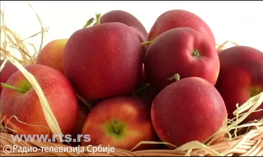 Srpska jabuka ozbiljan "igrač" na svetskom tržištu, proizvođači očekuju dobar rod