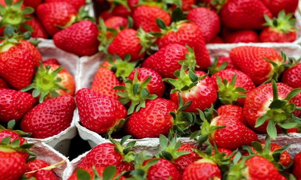 Koje voće i povrće Srbija najviše uvozi?