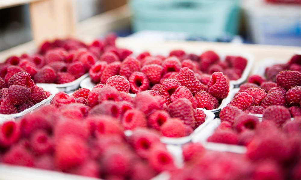 MALINARI NAJAVILI BLOKADU HLADNJAČE