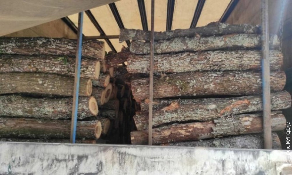 Pojačana kontrola šumskih područja, za dan otkriveno pet kamiona sa nelegalno isečenim stablima