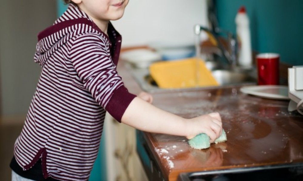 13 ZDRAVIH NAVIKA DECE