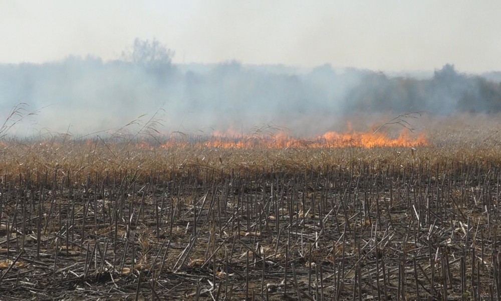 Apel: Ne palite travu i nisko rastinje
