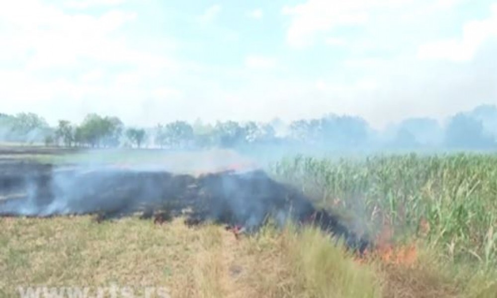 U Srbiji registrovano 620 požara, povređeno šestoro ljudi