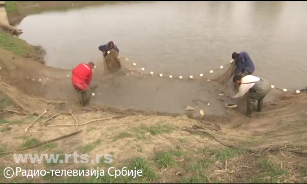 Ribarstvo u Srbiji u krizi, proizvodimo samo jednu pastrmku po stanovniku