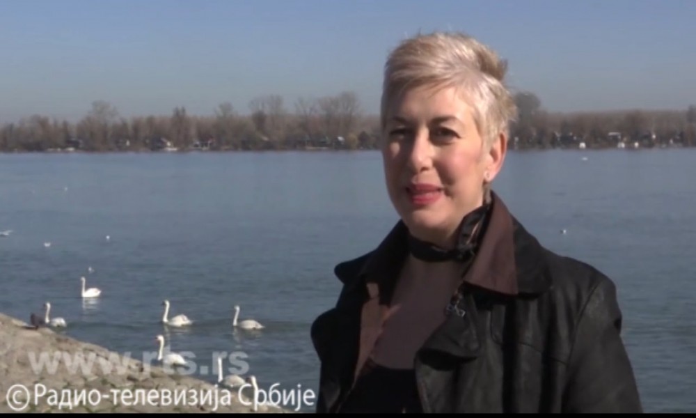 Izuzetni poslovi, lagodan život, pažnja - kako trgovci ljudima mame žrtve