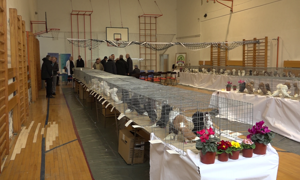 Održana Specijalka Periker kluba Srbije u Požarevcu