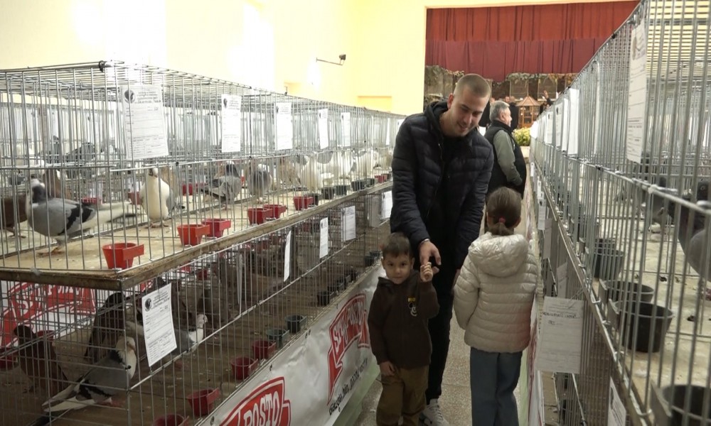 Otvorena 3. međunarodna izložba "Tetreb" i 9. balkanski šampionat