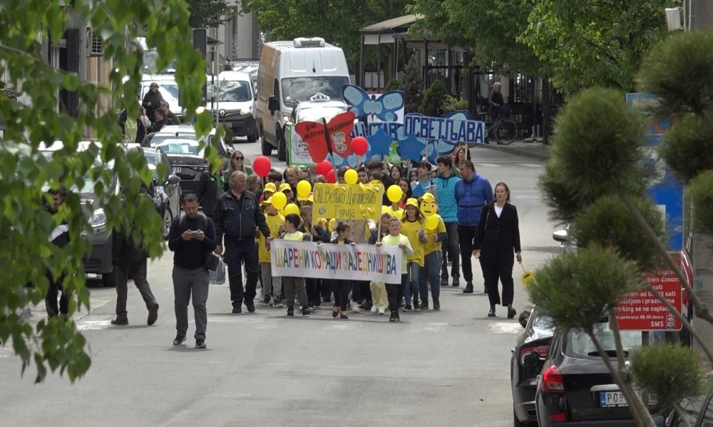 Kučevo: Održan dan obrazovanja za demokratsku kulturu