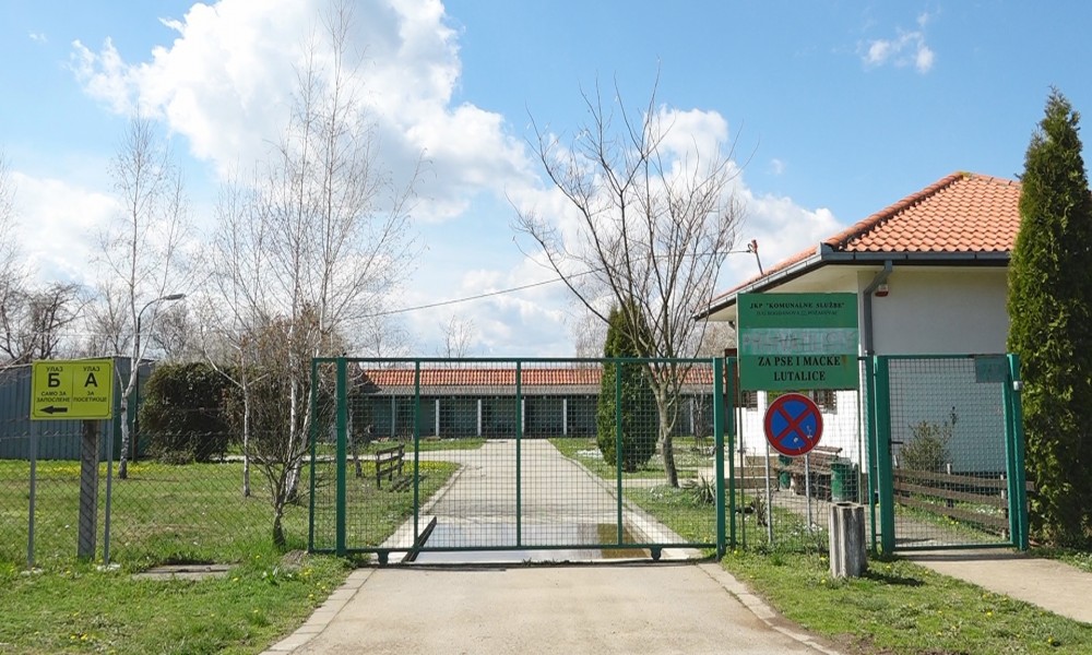 KRPELJA IMA ZAŠTITA JE OBAVEZNA