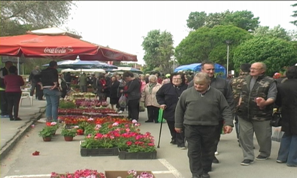 ODRŽAN FESTIVAL CVEĆA I MEDA U VELIKOM GRADIŠTU