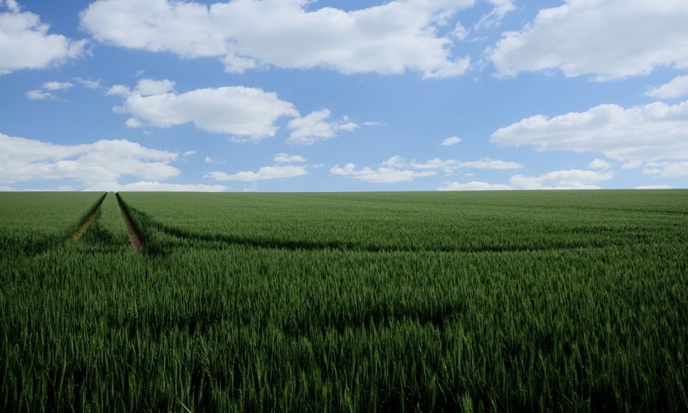 Pojačana kontrola poljoprivredne inspekcije povodom prijava zloupotreba zemljišta