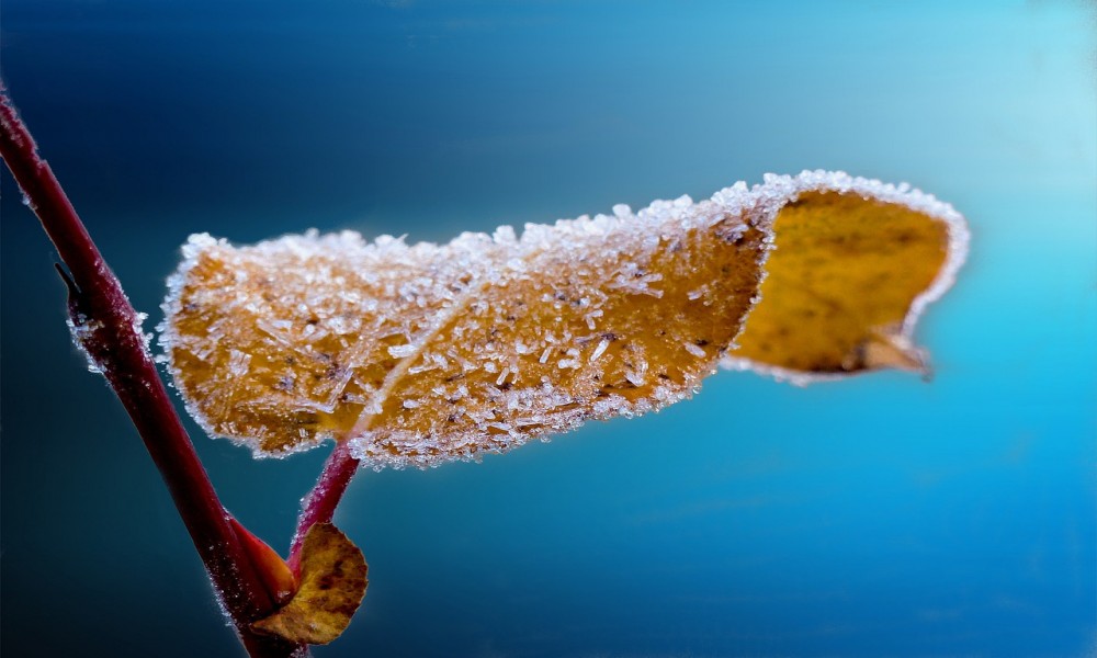 Zima počinje u petak 22. decembra, pred nama je najduža noć