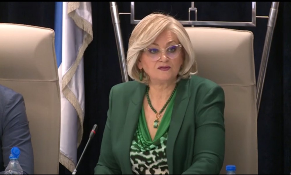 Kad jeftinije postane skuplje - guverner Jorgovanka Tabaković objašnjava za RTS otkuda "čipflacija" u Srbiji