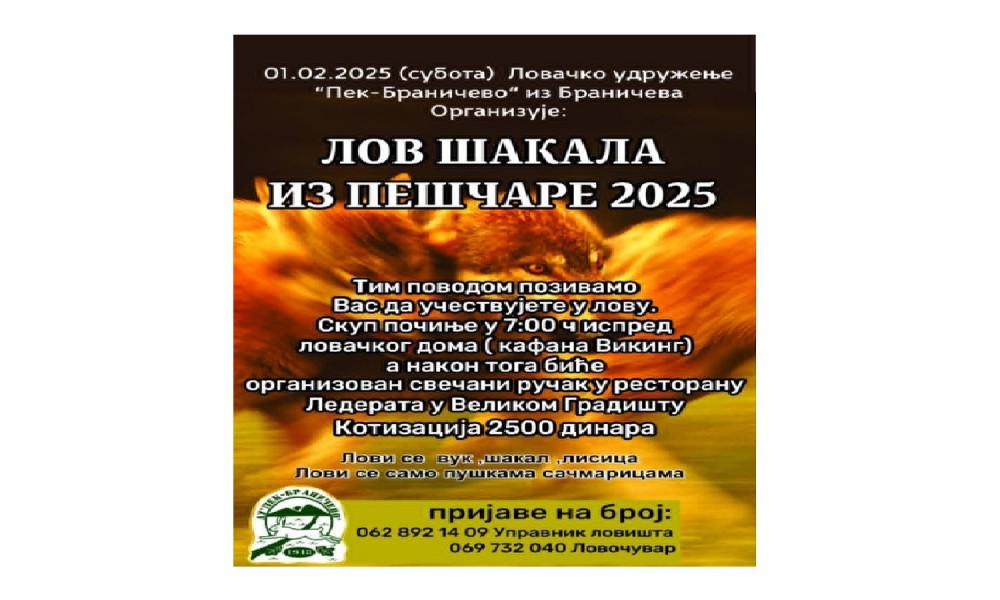 Lov na šakala iz peščare 2025.